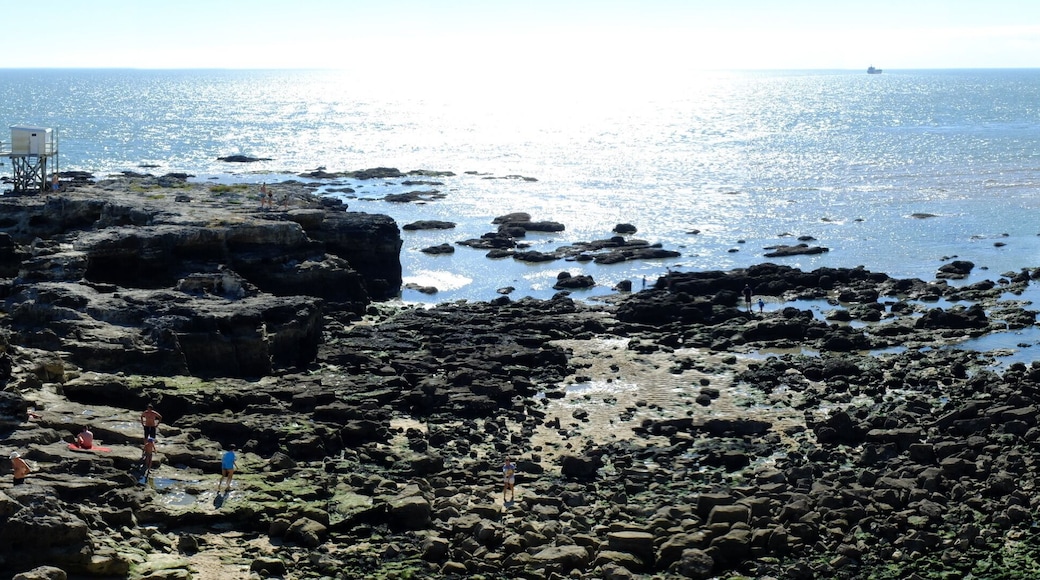 Saint-Palais-sur-Mer, bords de Gironde