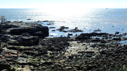 Saint-Palais-sur-Mer, bords de Gironde