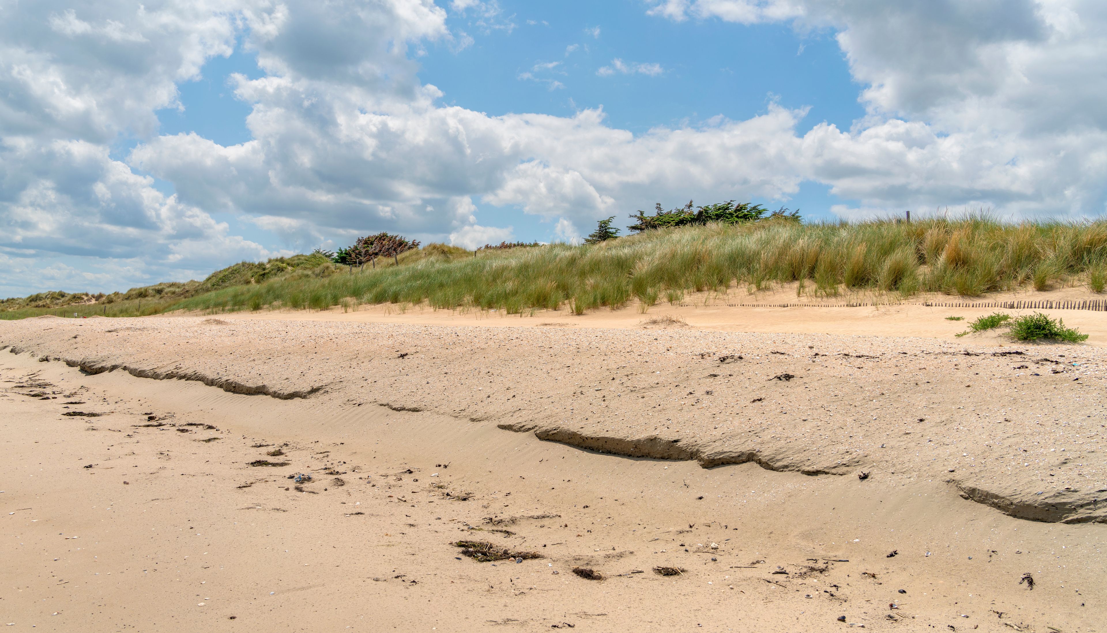 Une plage de sable avec des dunes et une végétation clairsemée.