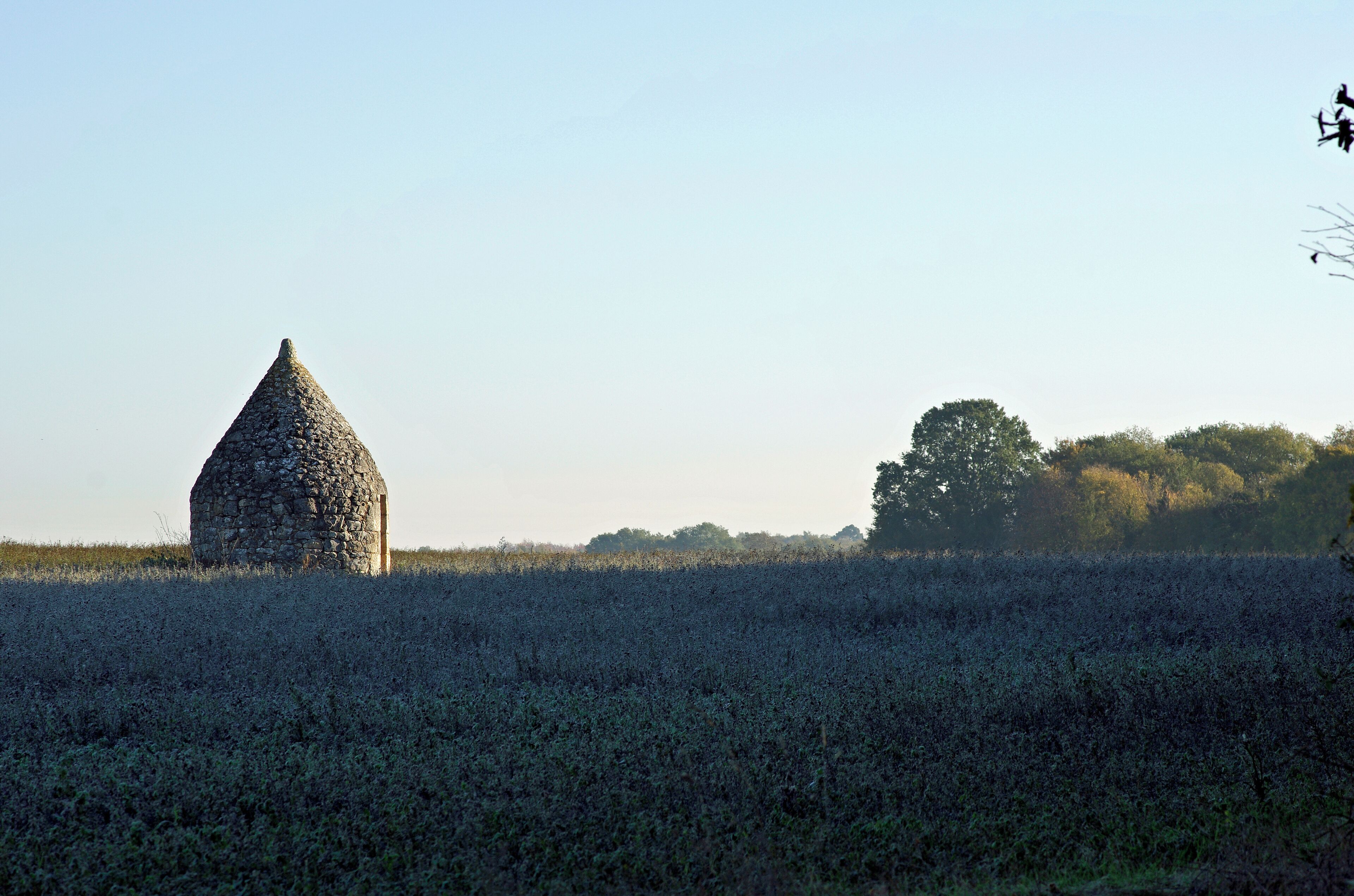 Angles-sur-l'Anglin (Vienne) Loge. les cabanes de pierres, en "pain de sucre", sont encore nombreuses autour d'Angles-sur-l'Anglin. Cette loge a vraisemblablement été restaurée. Ces loges se trouvaient au milieu des vignes, vignes qui peuvent avoir disparu aujourd'hui. Il est difficile de dater l'origine de ces loges, certaines pourraient remonter au néolithique, mais le développement de ces loges suit l'expansion de la culture de la vigne à partir du XVIIe siècle. inventaire.poitou-charentes.fr/operations/vals-de-gartemp...