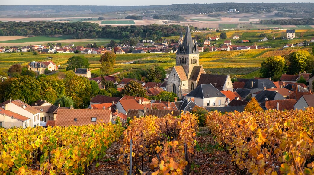 Champagne region visit card with autumn vineyards and village, France