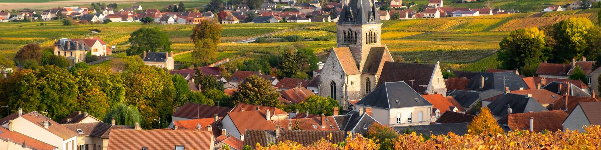 A town with a prominent church tower, vineyards, and surrounding fields.