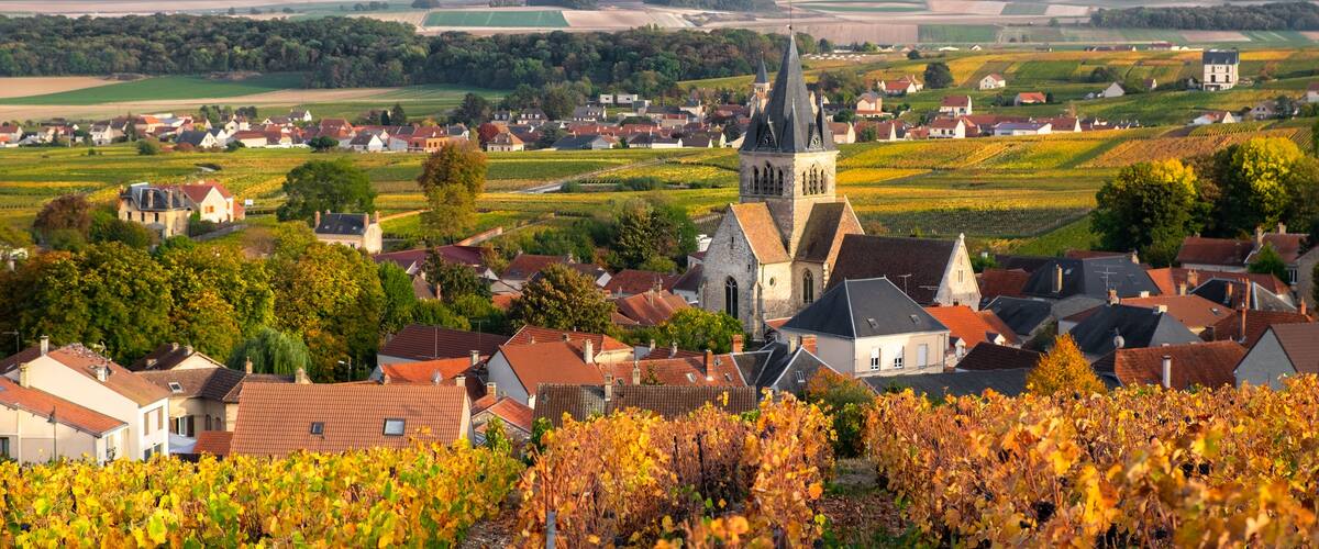 A town with a prominent church tower, vineyards, and surrounding fields.