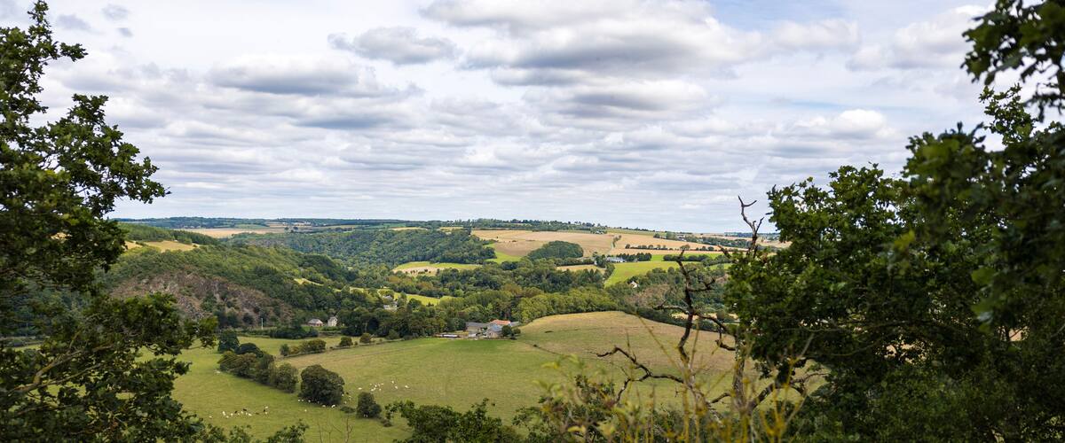 A lush green valley with rolling hills, scattered trees, and a small house in the distance.