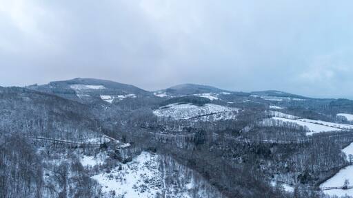 莫爾旺地區阿利尼
