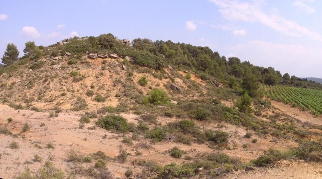 Vers_St_Jean_de_Minervois_34360