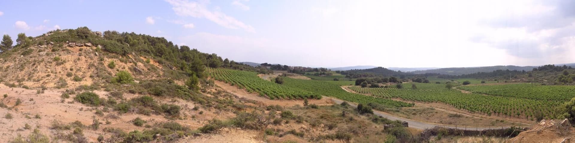 Vers_St_Jean_de_Minervois_34360