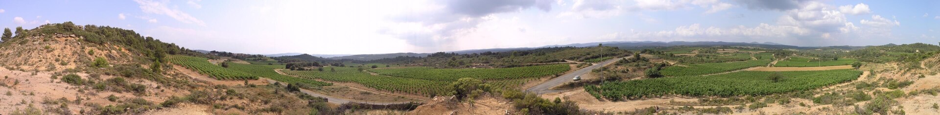 Vers_St_Jean_de_Minervois_34360