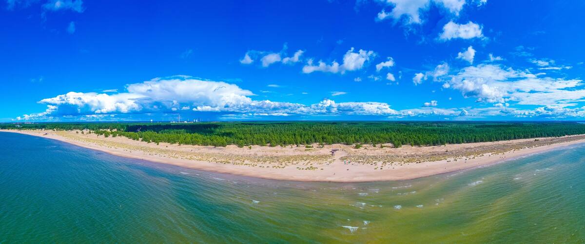 A coastal landscape with a sandy beach, dense forest, and clear blue sky.