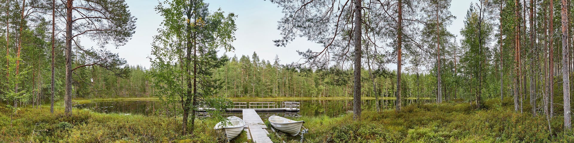 Finland panoramic landscape with forest and lake. Finnish environment.