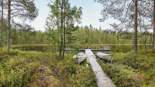 Finland panoramic landscape with forest and lake. Finnish environment.