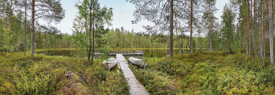 Finland panoramic landscape with forest and lake. Finnish environment.