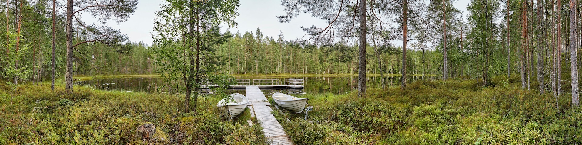 Finland panoramic landscape with forest and lake. Finnish environment.