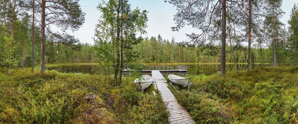 A wooden dock leading to two boats in a forested wetland area.