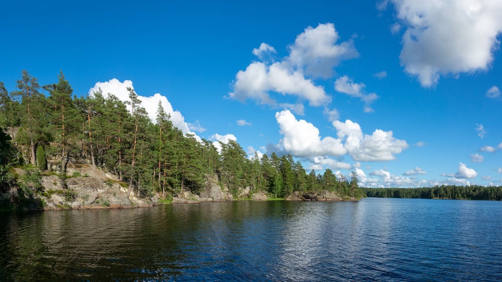 Summer lake scene at hiking trail in Teijo national park, Salo, Finland. Trees and the Matildajarvi lake.