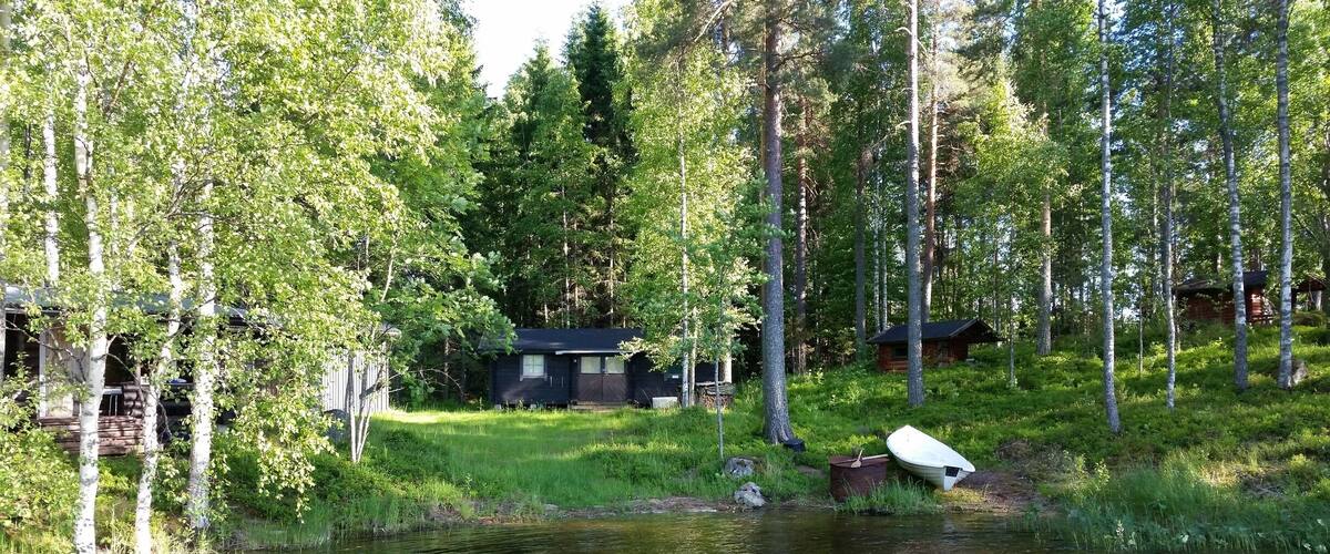 A serene lakeside cabin surrounded by tall trees and a small dock.