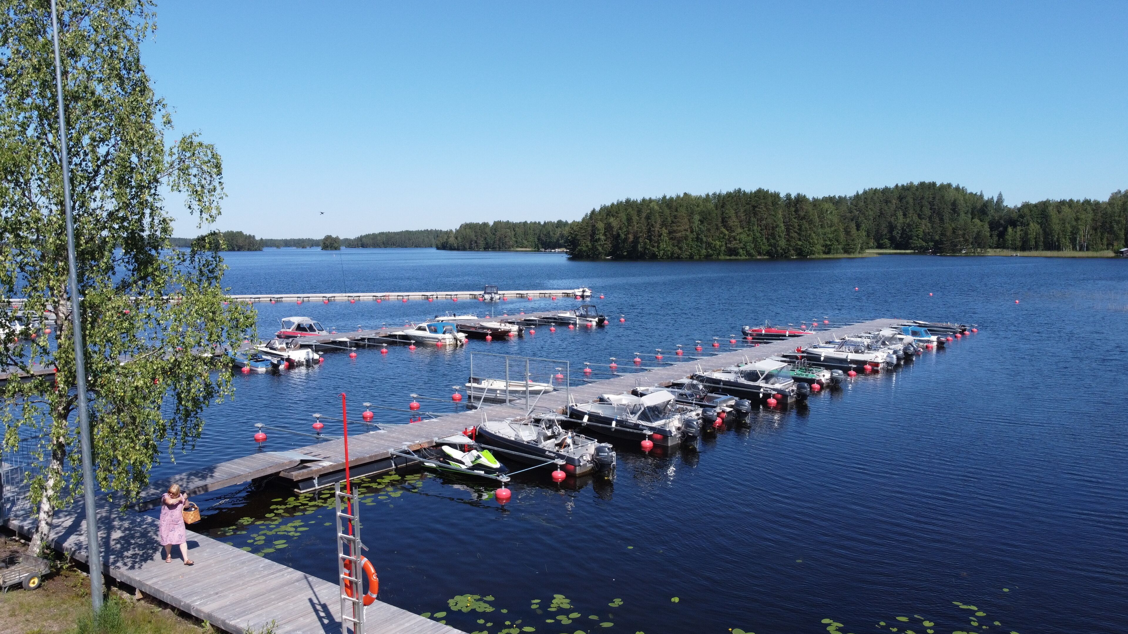 A marina with boats docked, a wooden pier, and a forested island in the background.
