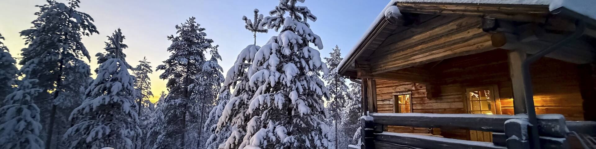 Snowy trees and illuminated wooden house in winter, evening mood, Oulanka National Park, Kuusamo, Finland