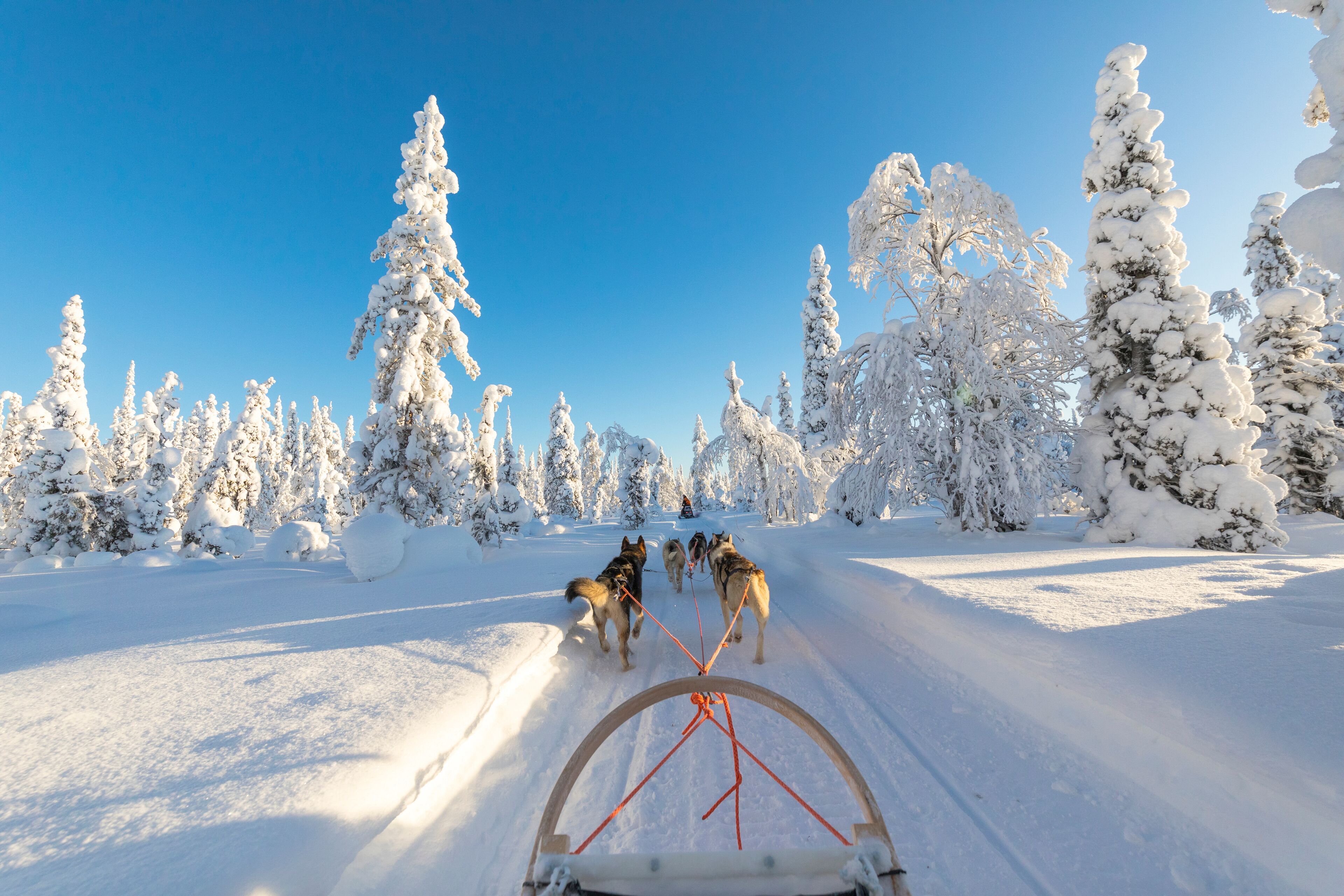 A snowy landscape with a sled being pulled by dogs.