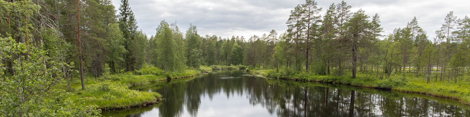lake in forest