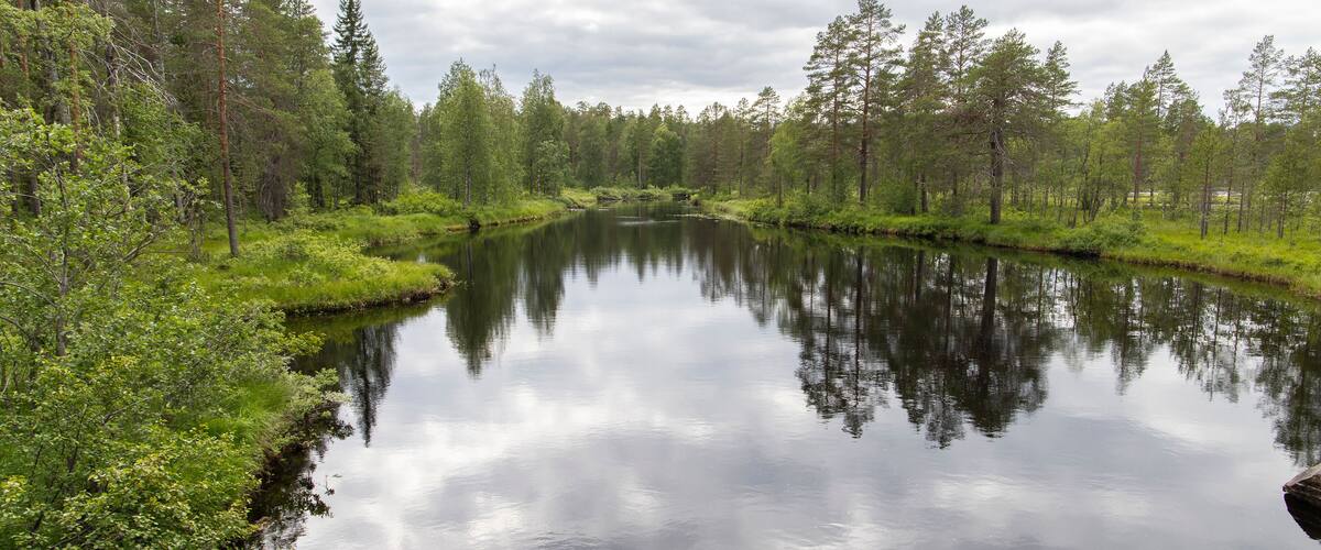 A calm river surrounded by dense forest and a cloudy sky.