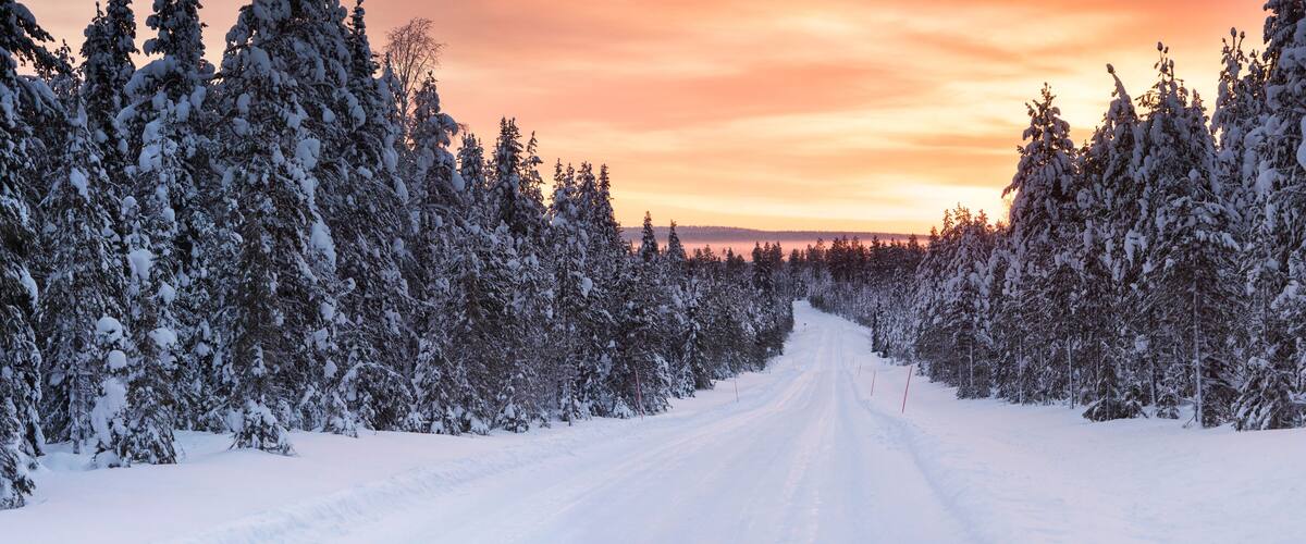 A snow-covered road flanked by dense evergreen trees under a sunset sky.