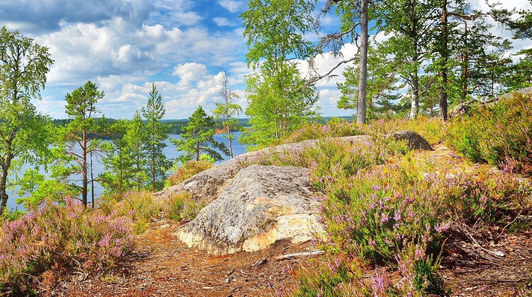 Blue Saimaa lake, rocks and pine trees, Finland, aerial view. Picturesque panoramic scenery. Atmospheric landscape. Pure nature, ecology, environmental conservation, eco tourism, travel destinations