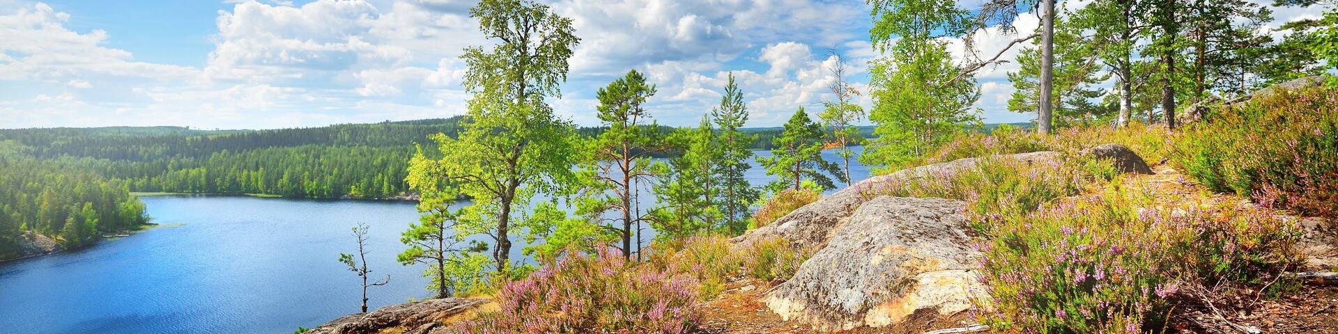 Blue Saimaa lake, rocks and pine trees, Finland, aerial view. Picturesque panoramic scenery. Atmospheric landscape. Pure nature, ecology, environmental conservation, eco tourism, travel destinations