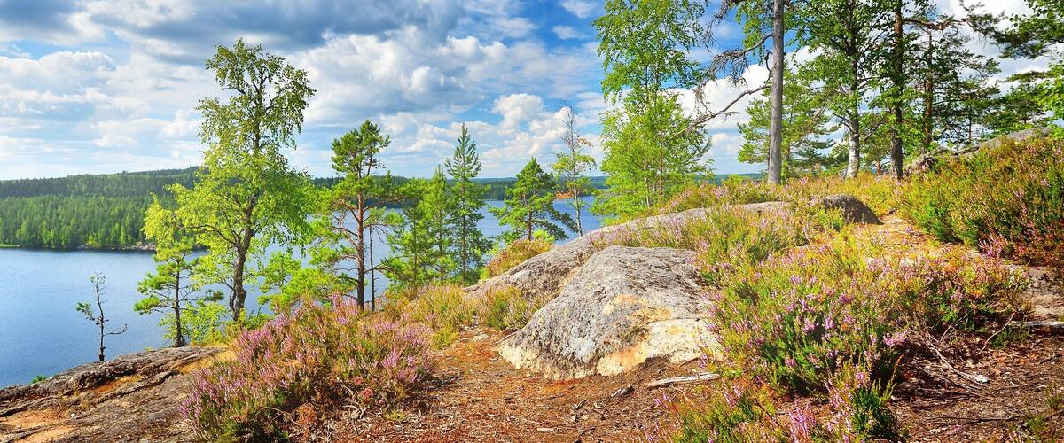 A lake surrounded by dense forest and rocky terrain.