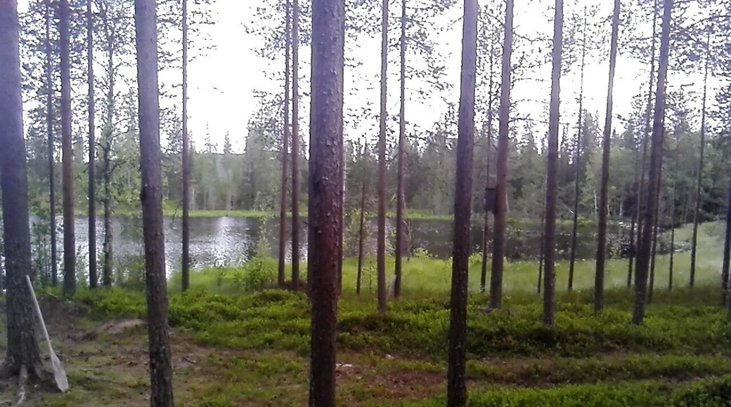 Beautiful nature of Finland lapland #takeahike