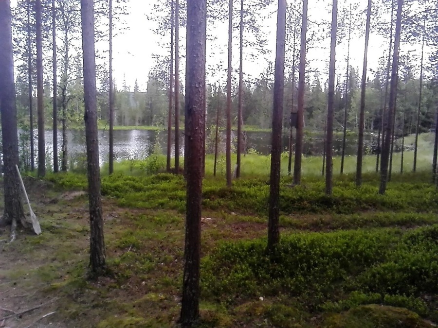 Beautiful nature of Finland lapland #takeahike
