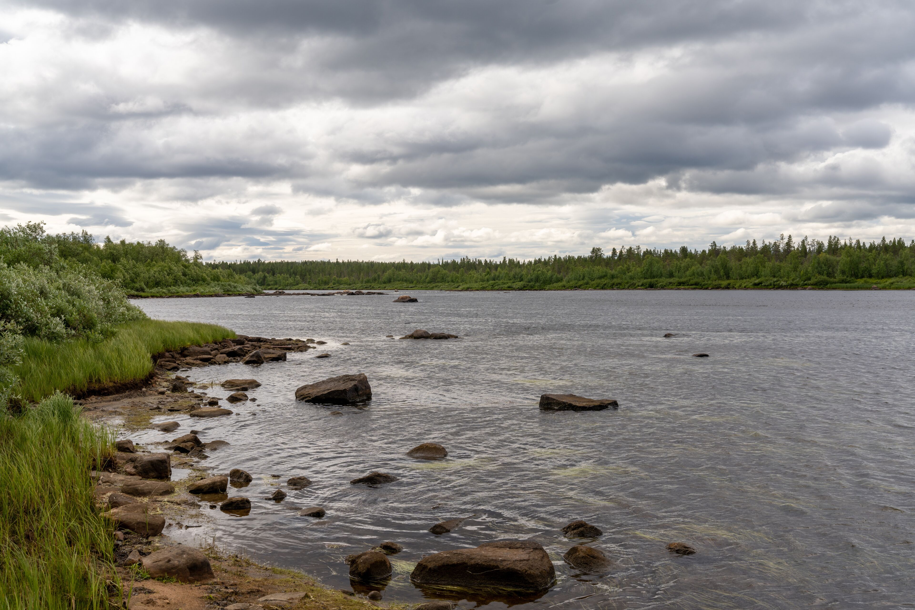 idyllic river landscape with reeds and rocks in the foreground