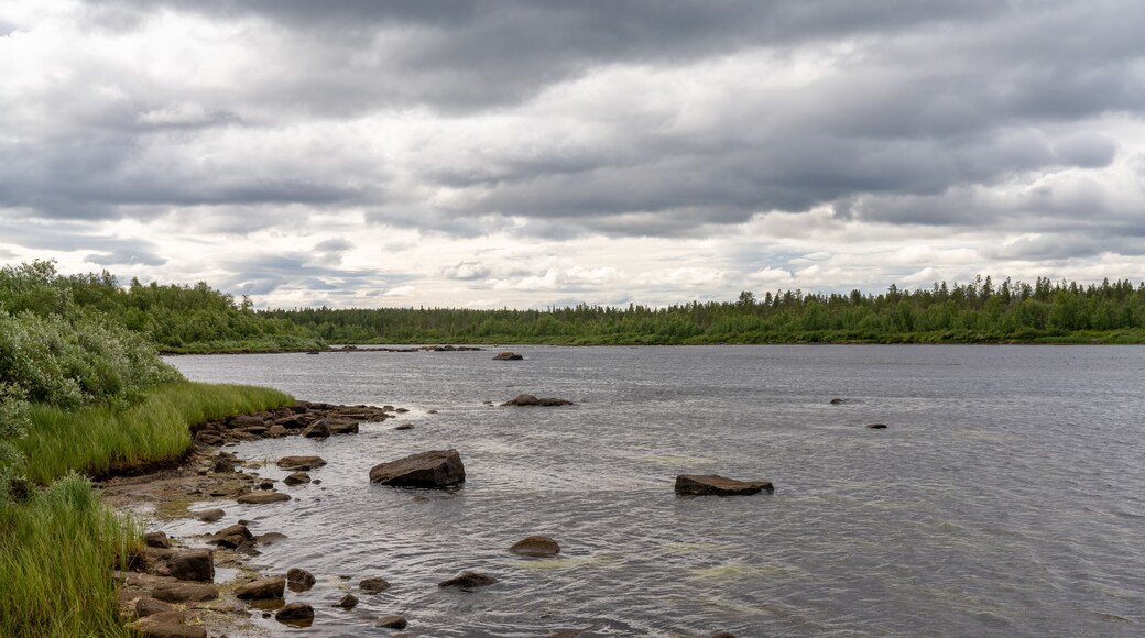 idyllic river landscape with reeds and rocks in the foreground