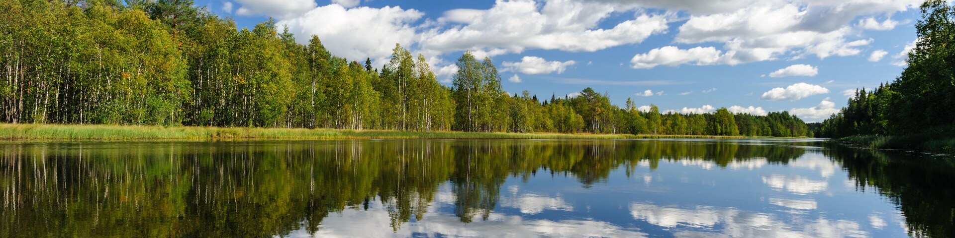 Un lago tranquilo con un canoë rojo, rodeado de árboles verdes frondosos y un cielo azul despejado con nubes.
