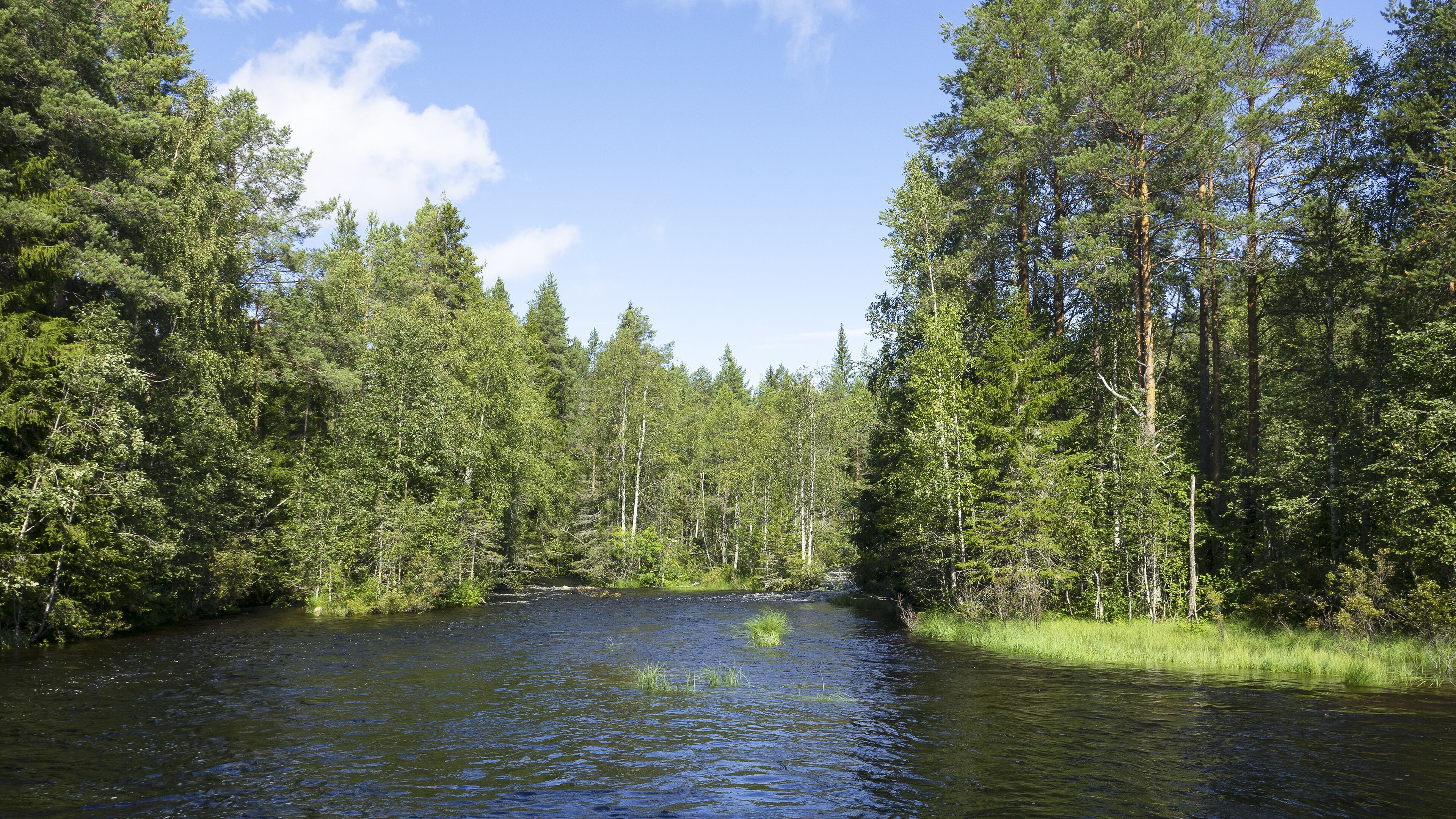Finnish Karelia is a beautiful country full of forests and lakes.