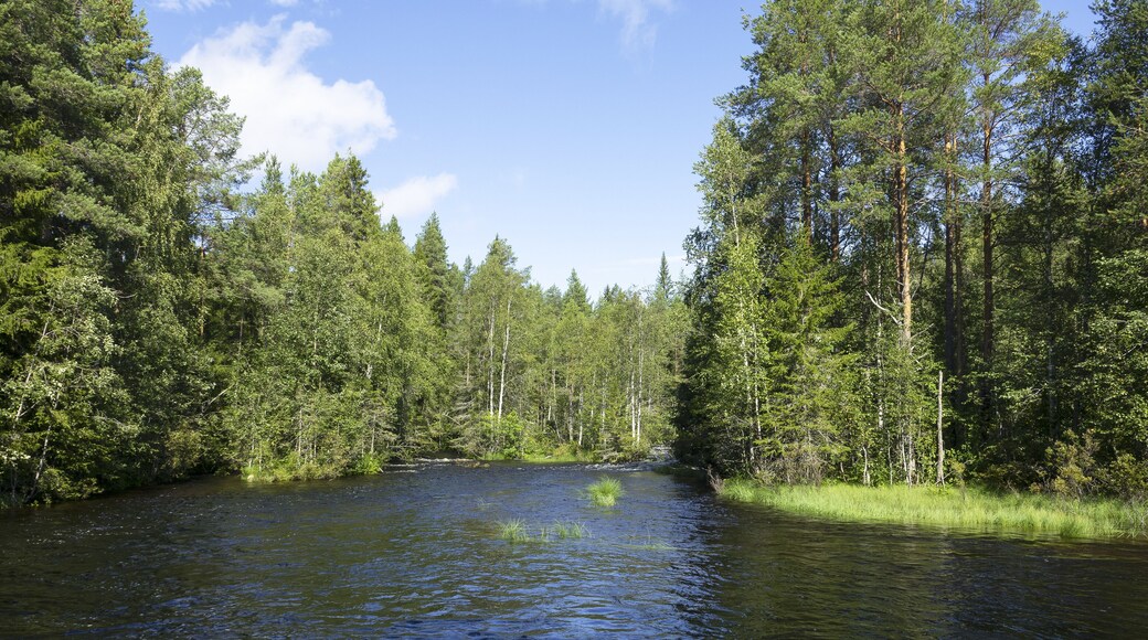 Finnish Karelia is a beautiful country full of forests and lakes.