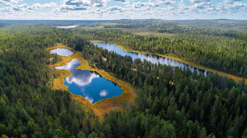 Forests and lakes of Karelia from above