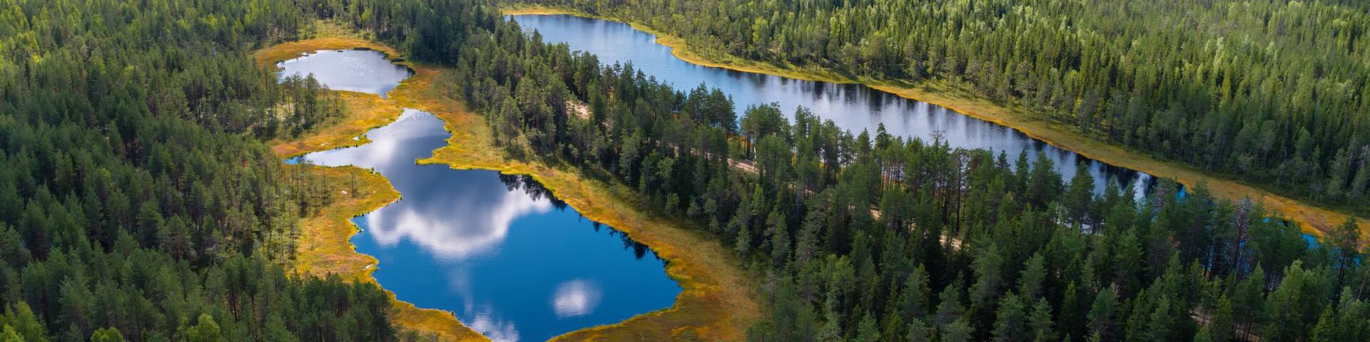 Forests and lakes of Karelia from above