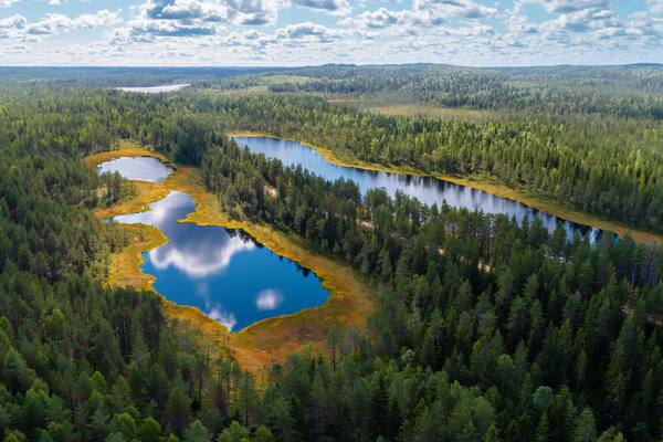 Forests and lakes of Karelia from above