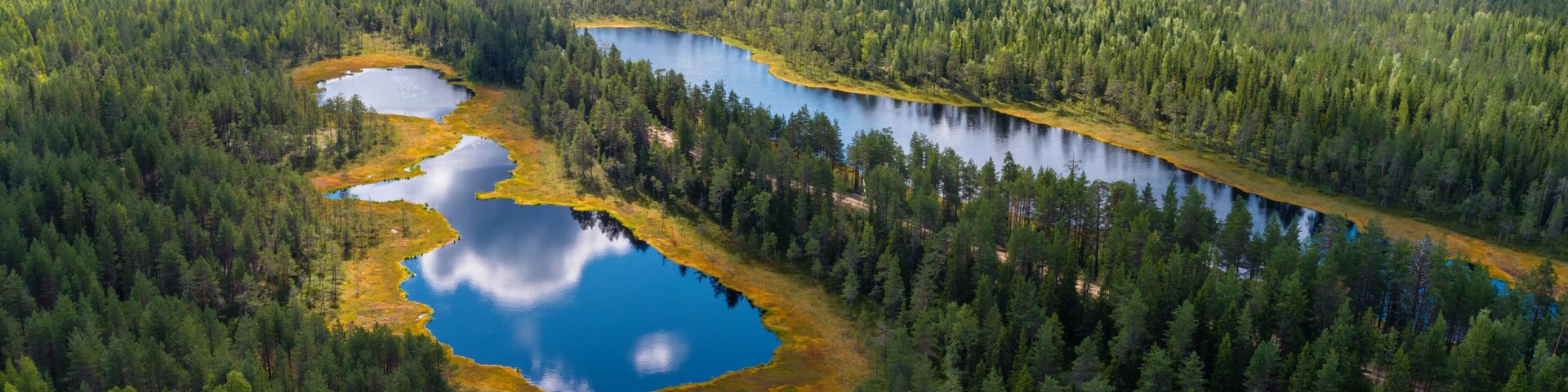 Forests and lakes of Karelia from above