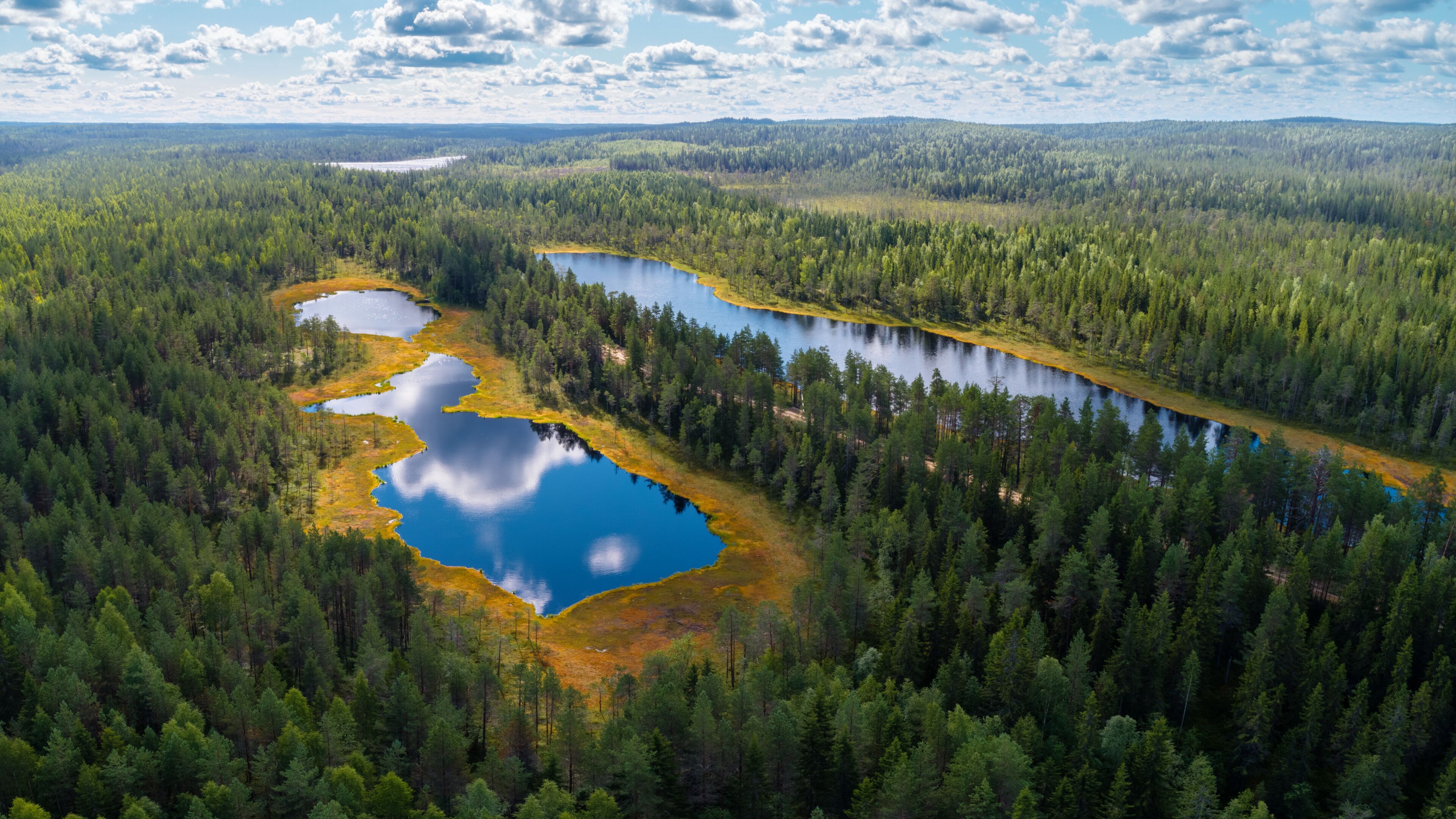 A forested landscape with three lakes and a distant mountain range.