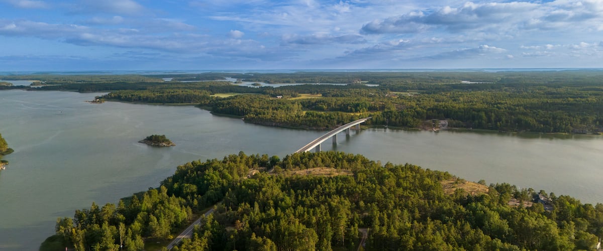 A river with a bridge, surrounded by dense forests and a cloudy sky.