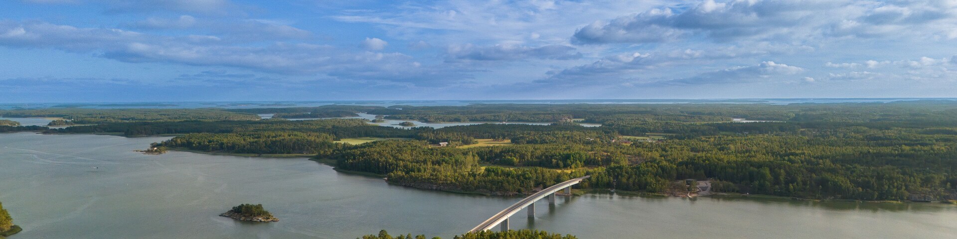 A river with a bridge, surrounded by dense forests and a cloudy sky.