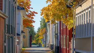 Una stretta via fiancheggiata da edifici colorati e alberi autunnali.