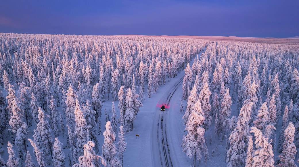 A snow-covered forest with a clear sky and a vehicle on a snow trail.
