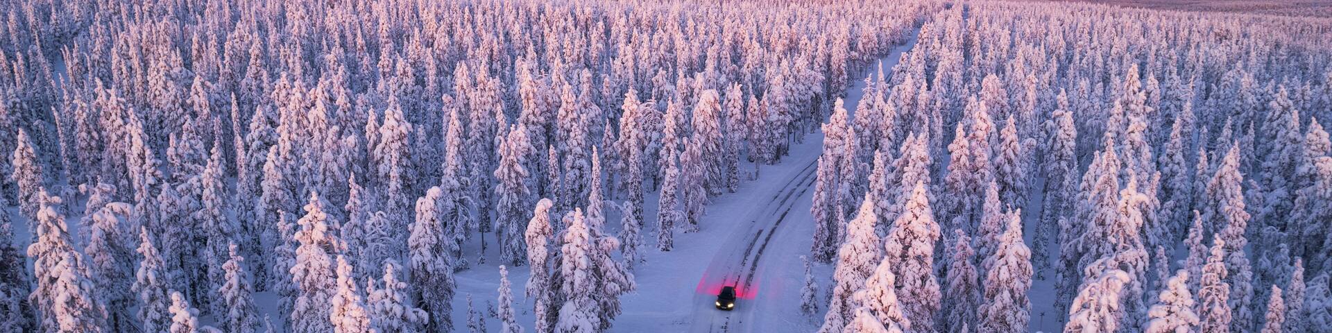 A snow-covered forest with a clear sky and a vehicle on a snow trail.