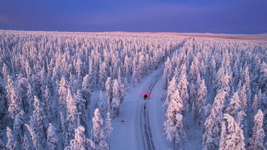Aerial view of a car driving through the winter forest covered from snow at dawn, Akaslompolo, Kolari, Pallas-Yllastunturi National Park, Lapland region, Finland