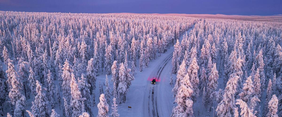 A snow-covered forest with a clear sky and a vehicle on a snow trail.