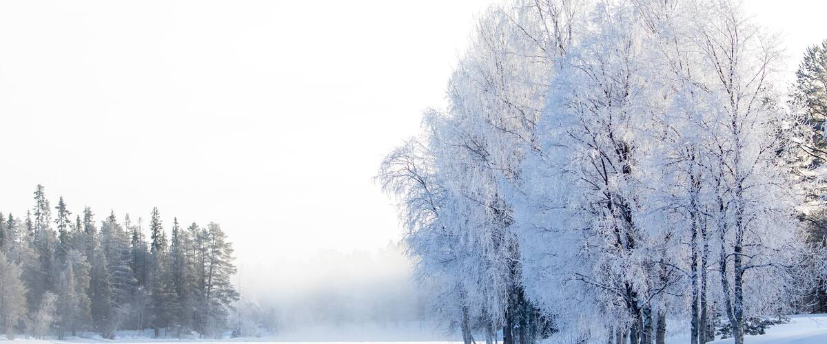 A frozen lake with snow-covered trees and a forest in the background.