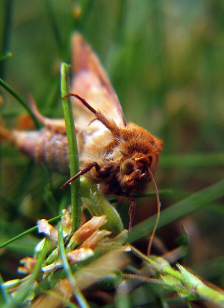 A tiny glimpse into the creepy world beneath our feet. We should probably be lucky Disney's 1989 box office hit "Honey, I Shrunk the Kids" is just a movie... @Aland islands, Finland. #LifeAtExpedia 